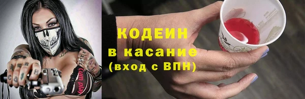 прущие грибы Верея