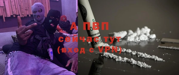 прущие грибы Верея