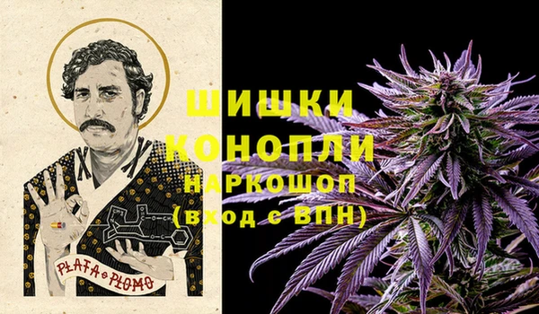 прущие грибы Верея