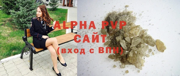 прущие грибы Верея