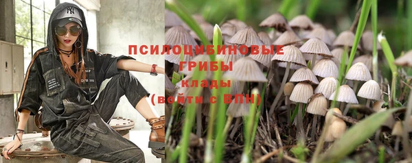 бошки Верхнеуральск
