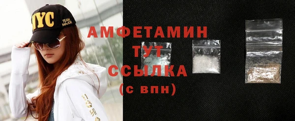 прущие грибы Верея