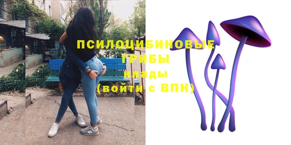 СК Бородино